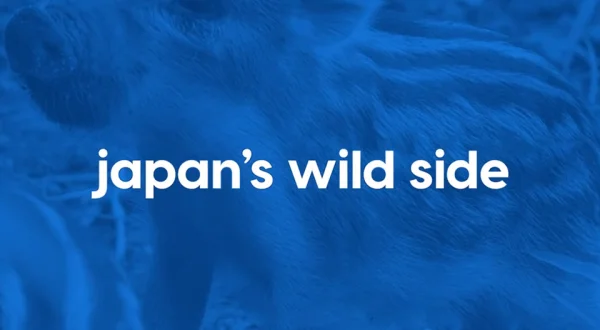 Japan's Wild Side