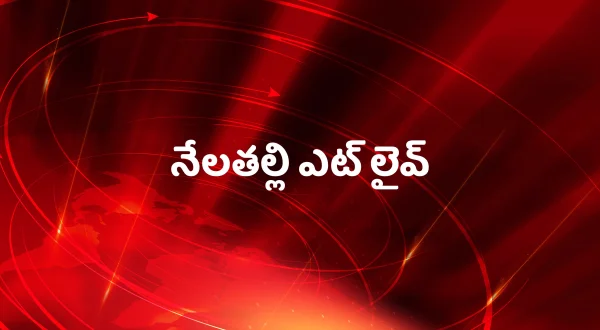 నేలతల్లి ఎట్ లైవ్