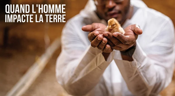 Quand l'homme impacte la Terre