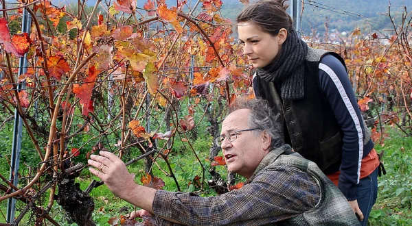 Weingut Wader: Die Erbschaft