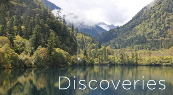 Discoveries