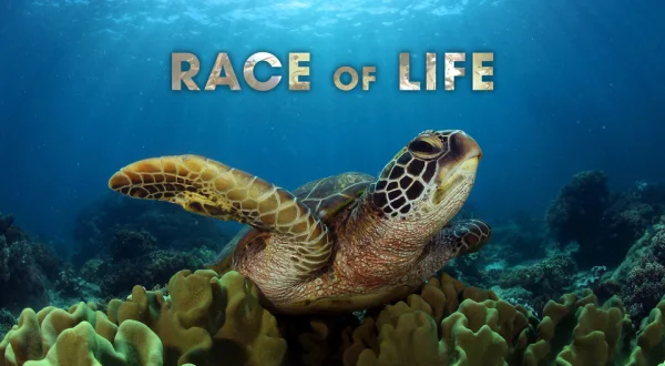 Race of Life