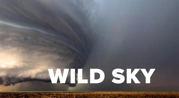 Wild Sky