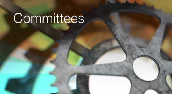 Select Committees