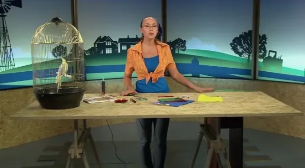 Crafty Hands