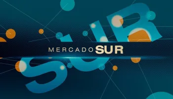Mercado sur