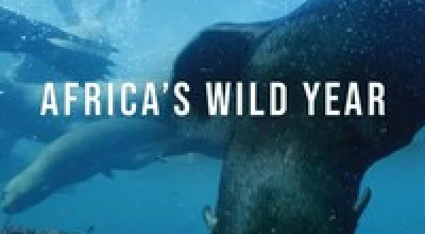 Africa's Wild Year