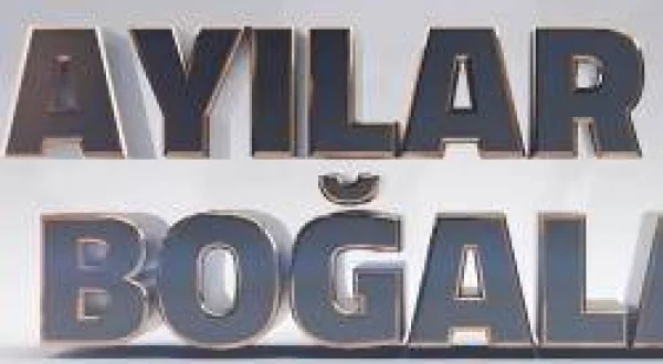 Ayılar ve Boğalar