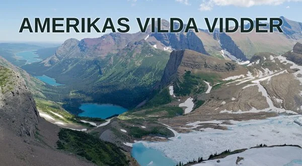 Amerikas vilda vidder