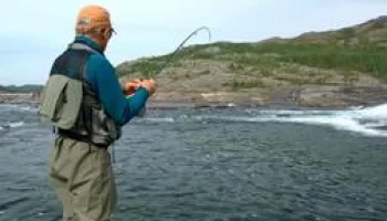 Les ombles arctiques du Nunavik