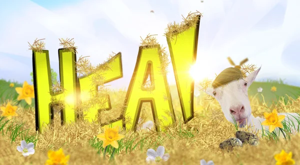 Hea!