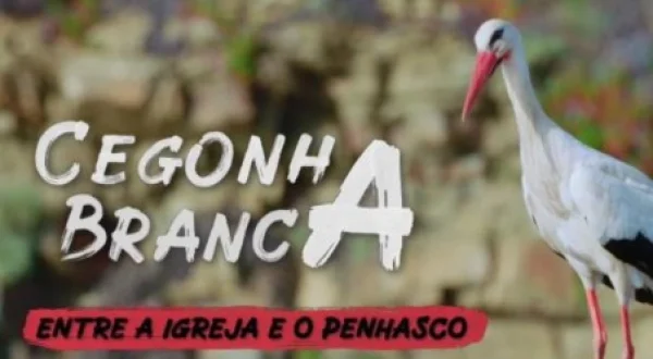 Cegonha Branca - Entre a Igreja e o Penhasco