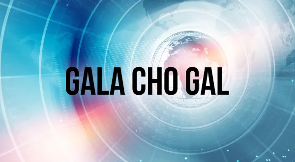 Gala Cho Gal