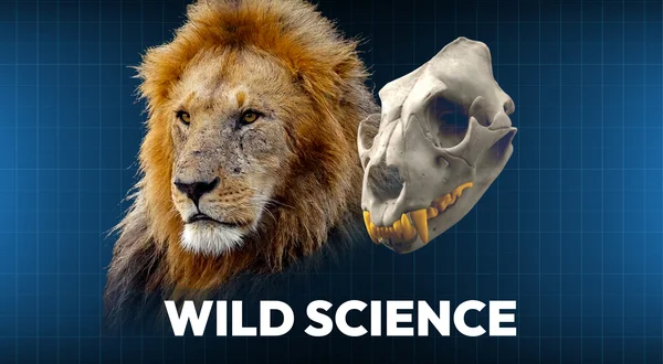 Wild Science