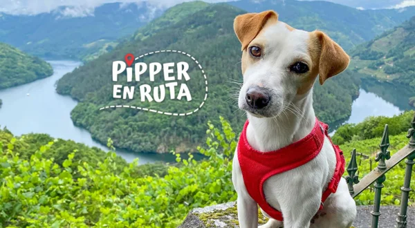Pipper en ruta