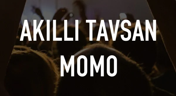 Akıllı Tavsan Momo