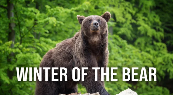 Winter of the Bear