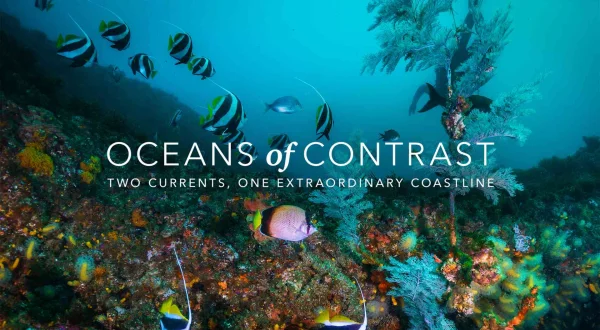 Ωκεανοί Αντιθέσεων | Oceans Of Contrast