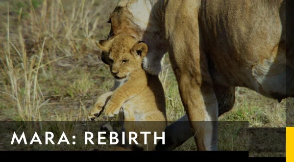 Mara: Rebirth