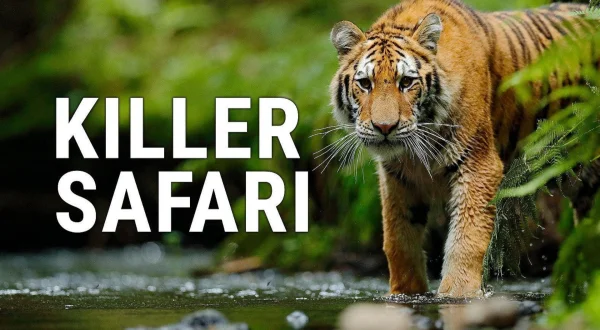 Killer Safari