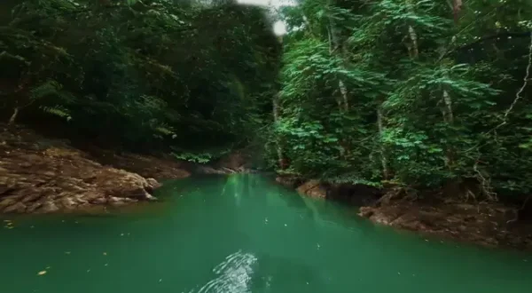 Costa Rica Calling