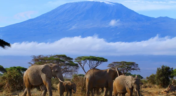 Heino – Ein Kölner in Kenia