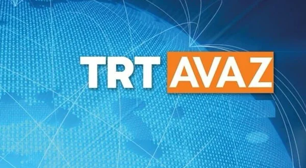 Usta Eller
