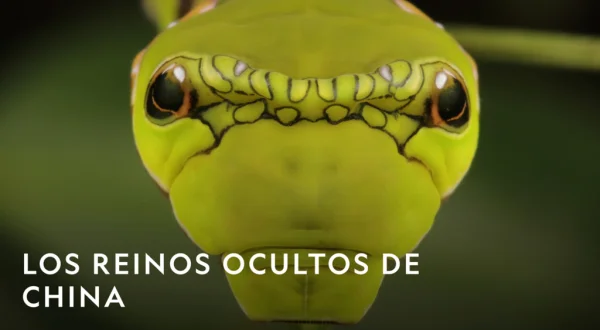 Especial Los reinos ocultos de China
