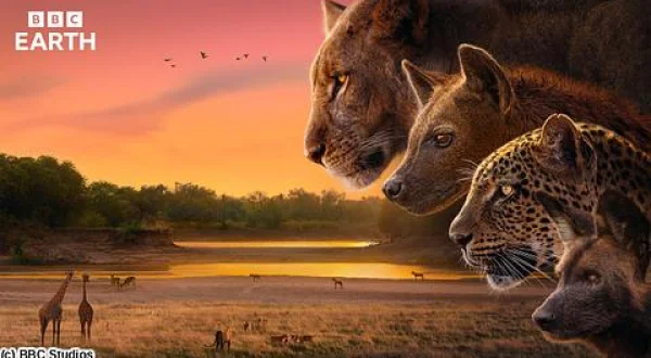 ＢＢＣ Ｅａｒｔｈ ２０２６ キングダム 大地の覇者 ＃６ 物語の舞台裏