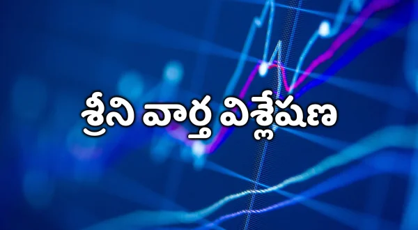 శ్రీని వార్త విశ్లేషణ