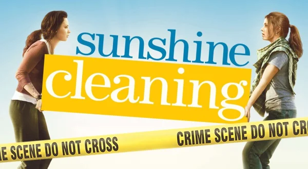 Sunshine Cleaning