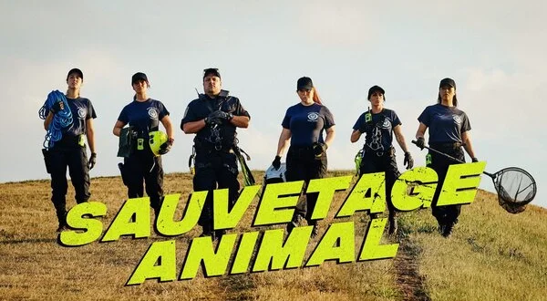 Sauvetage animal
