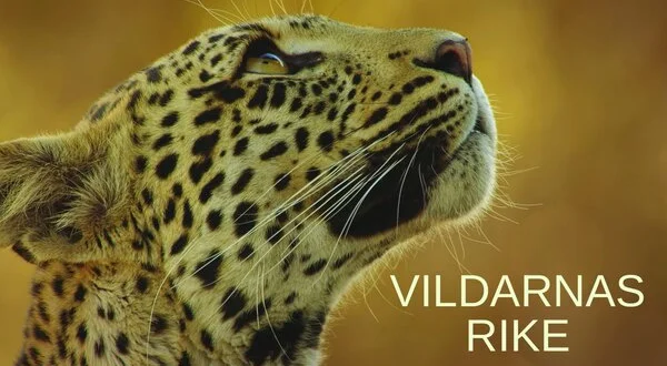 Vildarnas rike