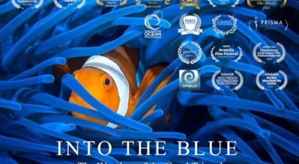 MINUNI DIN TRIUNGHIUL CORALILOR | INTO THE BLUE: THE WONDERS OF THE CORAL TRIANGLE