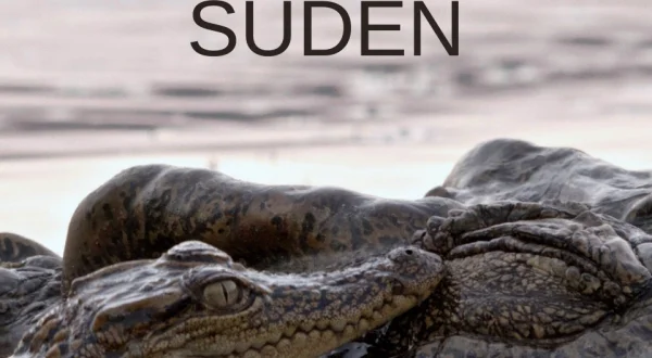 Vietnams tropischer Süden