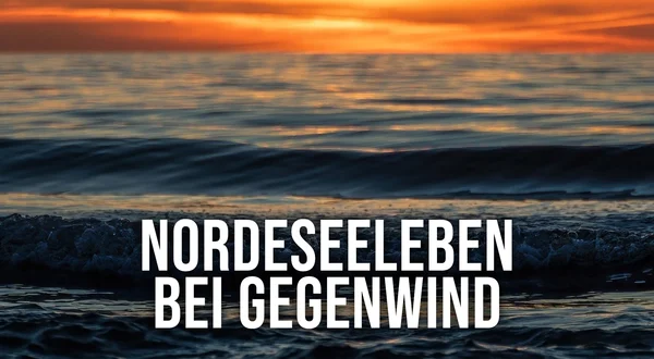 Nordeseeleben bei Gegenwind