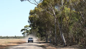 L'Australie avec Ray Mears