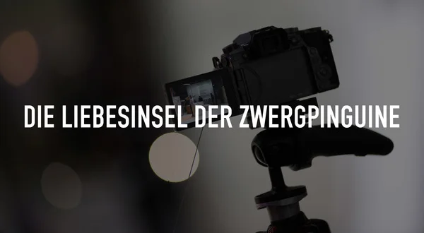 Die Liebesinsel der Zwergpinguine