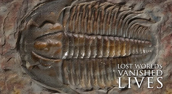 Lost Worlds: Vanished Lives