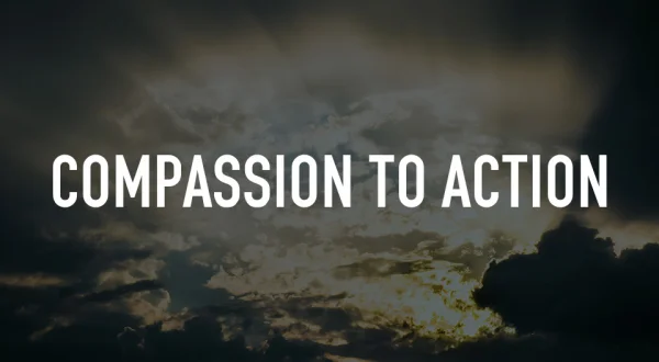Compassion to Action