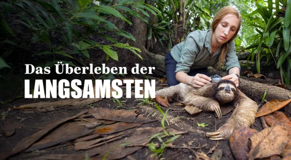 Das Überleben der Langsamsten