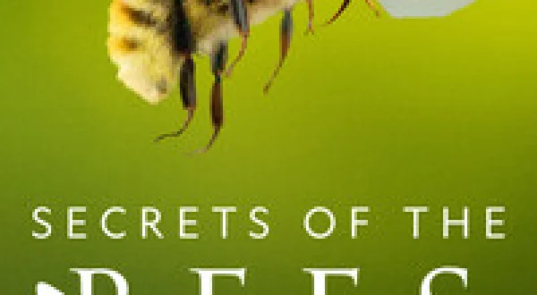 Secrets of the Bees