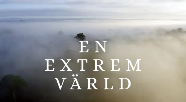En verden af ekstremer
