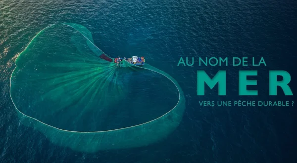 Au nom de la mer, vers une pêche durable ?