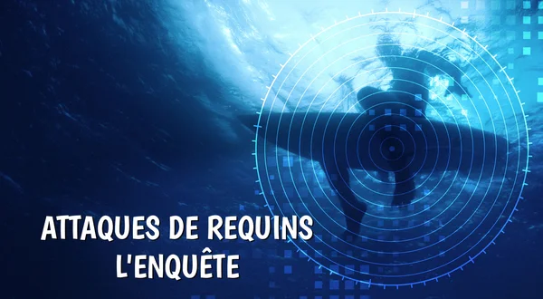 Attaques de requins: l'enquête