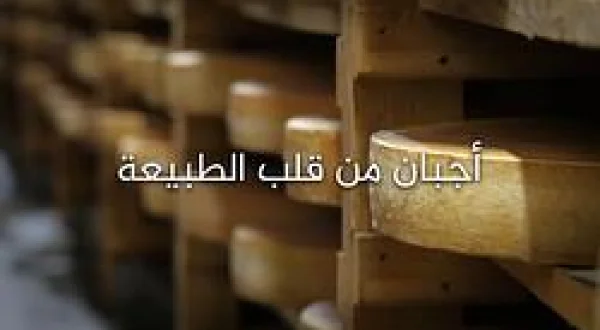 Cheese From The Heart Of Nature