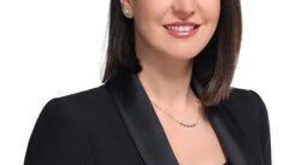 Analiz Sentez