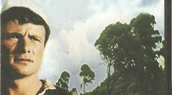 Pylli i lirisë