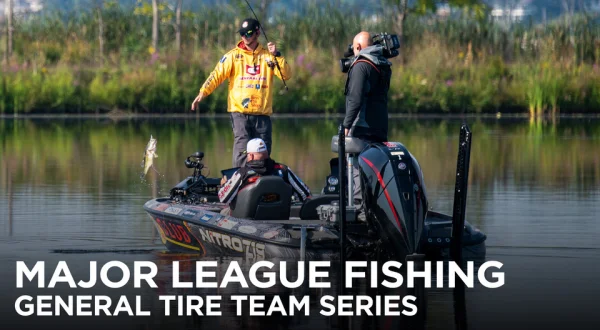 MLF Team Series