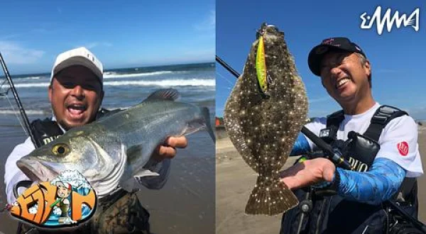 ヒラメイト 26 高水温期のサーフはオフシーズン？夏でも釣りしたら何かが起こる説